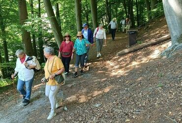 TRES BELLE BALADE ORGANISEE AU DEPART DU BOIS DES REVES !